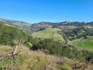 California hills in lush greenery following winter rains