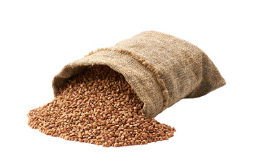 Organic buckwheat in sack isolated on white background. Grains are scattered out of the bag.