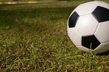 Plakat football soccer on grass