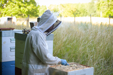 view on a beekeeper with his beehive