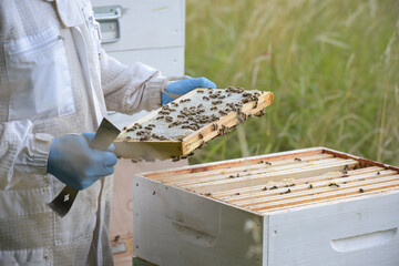 view on a beekeeper with his beehive
