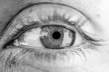 close up of a human eye