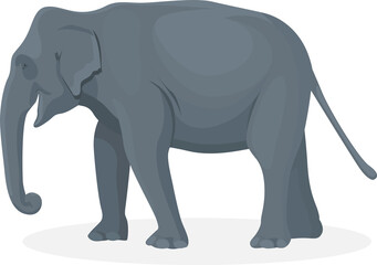 Fototapeta premium Elephant walking illustration, Big animals,