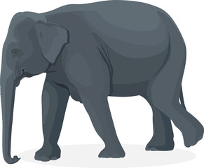 Fototapeta na wymiar Elephant walking illustration, Big animals,