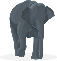 Elephant walking illustration, Big animals,