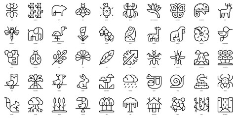 Set of thin line rainforest Icons. Vector illustration