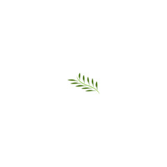 leaf icon vector illustration design