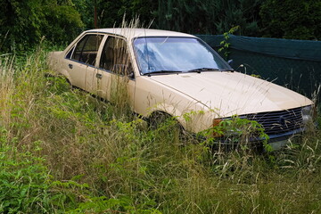 abandoned old car in high weeds - 516892707