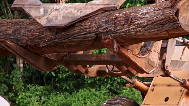 at a deforestation site in the Amazon rainforest, one of the large bulldozers moving the stripped-down trees on a tree transporter