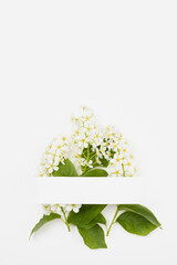 White paper blank stripe for text mockup with white bird cherry flowers bouquet on white, copy space, vertical. Wedding background for advertising, branding identity, greeting card in simple style.