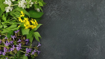 Edible plants and flowers on a dark background.