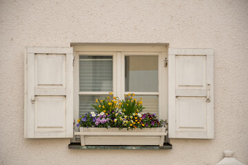 Fototapeta na wymiar a beautiful old window, a bed of flowers on the window