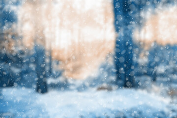  blurred winter forest
