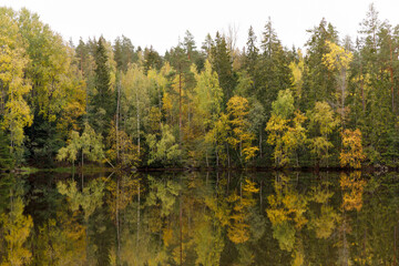 Fototapeta na wymiar Autumn trees by reflective lake