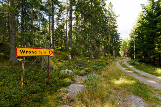 Wrong turn sign by rural road through forest
