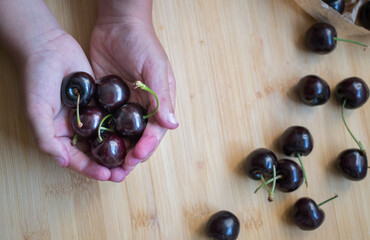 Child´s hand holding cherries
