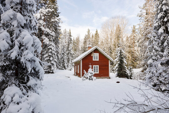 Red cabin in snowy forest