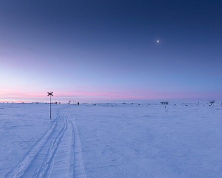 Woman cross-country skiing at sunset in Rogen Nature Reserve Sweden