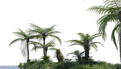 Tropical plants and trees beside streams  On a white background