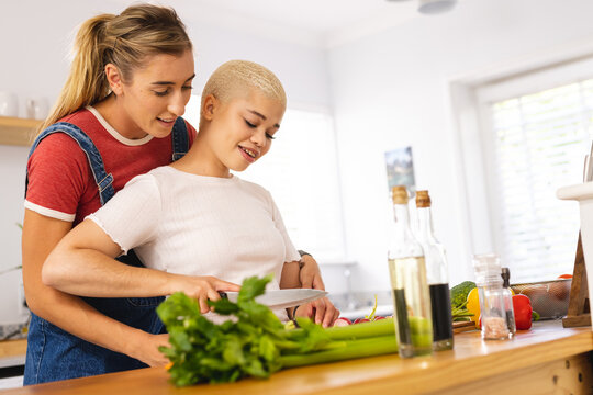 Image of happy diverse lesbian couple cooking together and embracing