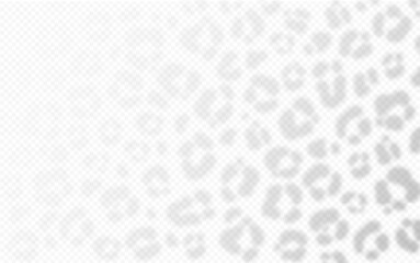 Cheetah texture shadow overlay on transparent background. Leopard skin reflection on wall. Vector realistic illustration. EPS 10.