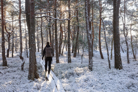 Young woman hiking in snowy forest