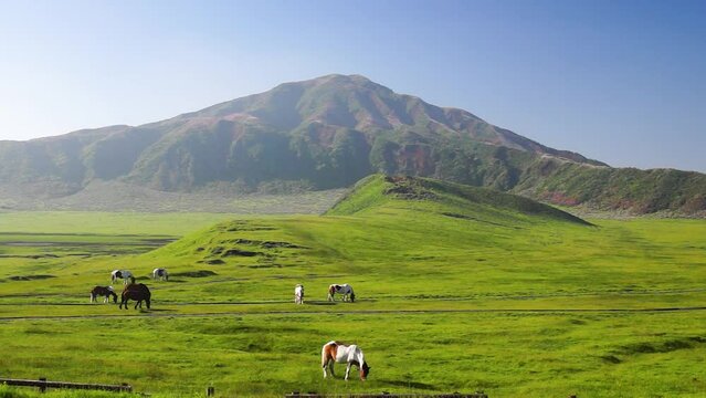 阿蘇の草千里ヶ浜の馬　烏帽子岳