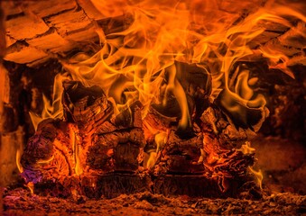 A few birch logs burning in the fireplace
