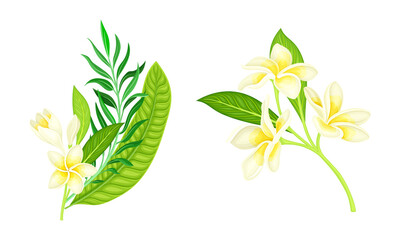 Tropical plants set. Palm leaves and blossoming twig of frangipani tree cartoon vector illustration