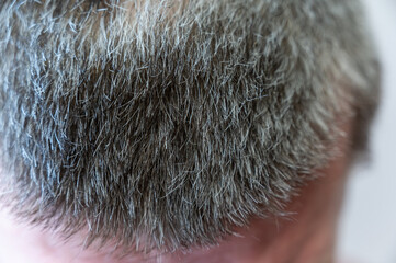 Short gray hair on a man's head. A mature man. Close-up. Selective focus.