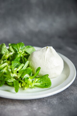 green salad buratta leaves mix fresh healthy meal food snack on the table copy space food background 