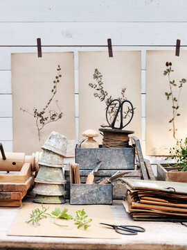 Gardening tools on table in conservatory
