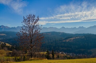 Tatra Mountains panorama, Gilczarów, panorama Tatr