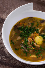 Soup with protein, parsley, onion, mushrooms and meat