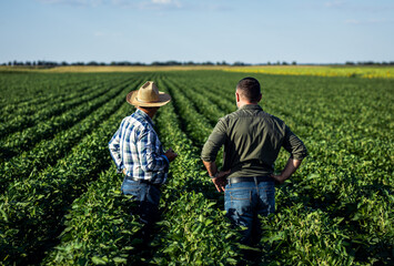 Rear view of two farmers in a field examining soy crop.