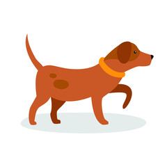 Dog in a collar with a raised paw