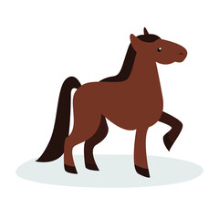 brown horse on white background
