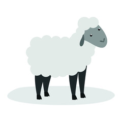 cute sheep on a white background