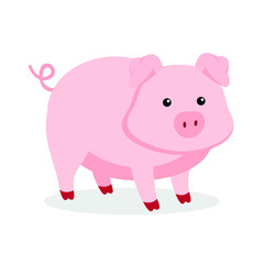 little pig on a white background