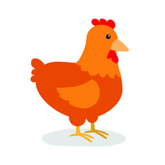 brown chicken isolated on white background