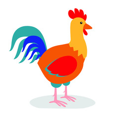 colorful rooster on a white background