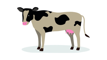 cow on white background