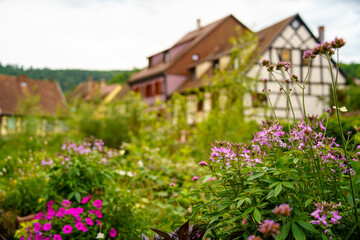 Fototapeta na wymiar Kaysersberg, Alsace, France