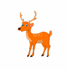 deer illustration