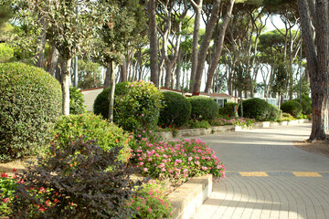 Fototapeta premium Flower bed, alley, road, path, well-kept garden, camping, A town of Dutch houses, a settlement, camping, vacation, houses standing among trees, in the forest. 