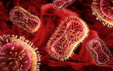 Medical illustration of Monkeypox virus - 3D illustration	
 - obrazy, fototapety, plakaty