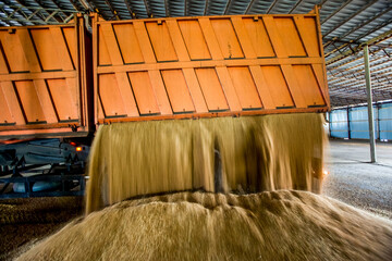 Loading process of wheat grain in elevator granary warehouse. Agro manufacturing plant equipment. Harvest time