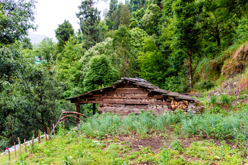 Ol abandoned hut in the lush green Rupin Pass Trek, Himalayas, Uttarakhand, India
