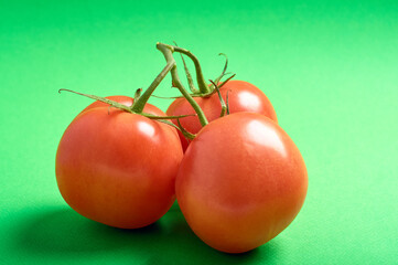 tomatoes on a branch on a green background