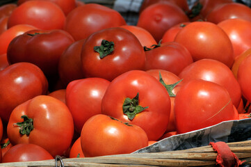 tomatoes in a market
